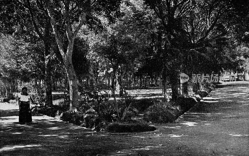 Alameda Francisco Gabilondo Soler Cri Cri公园位于墨西哥奥里萨巴，19世纪